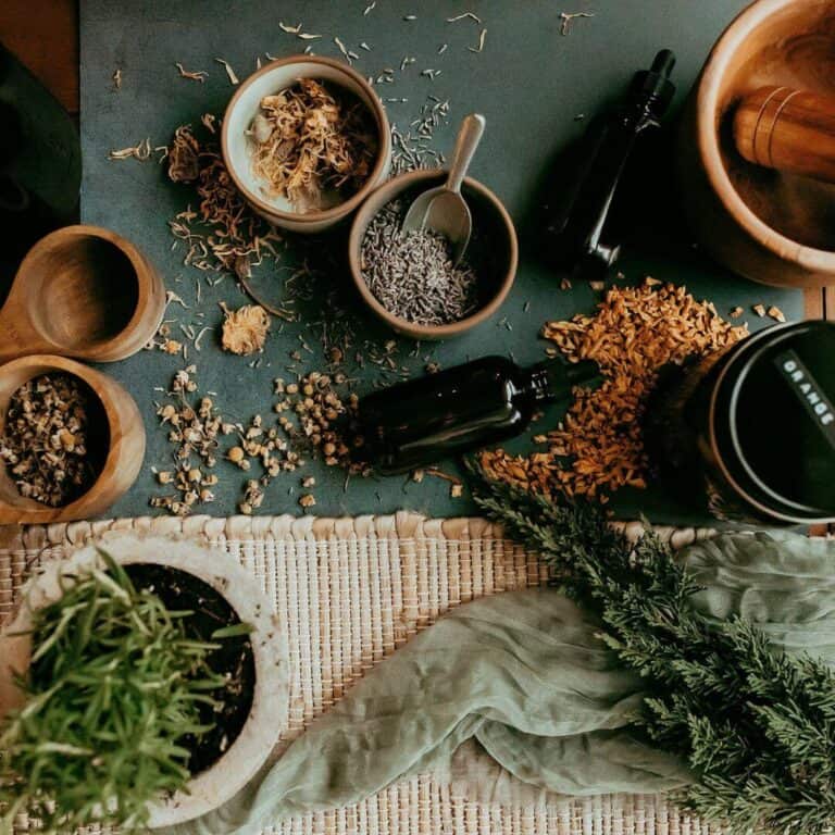 Intro to Herbalism Apprenticeship